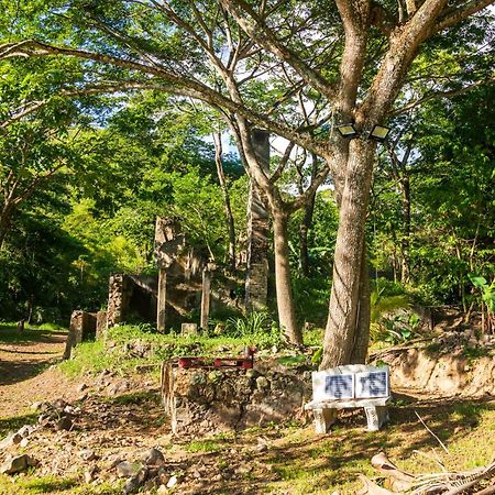 Vila Martinique Treehouse Canton Suisse Exteriér fotografie