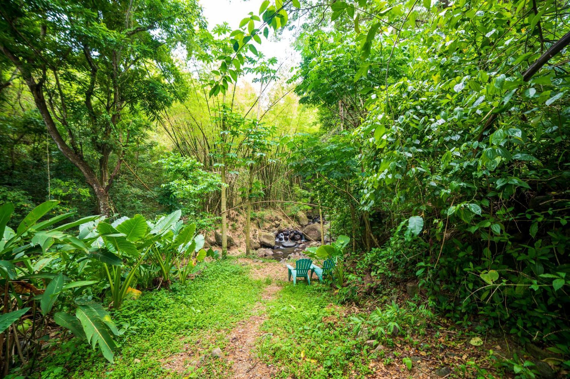 Vila Martinique Treehouse Canton Suisse Exteriér fotografie