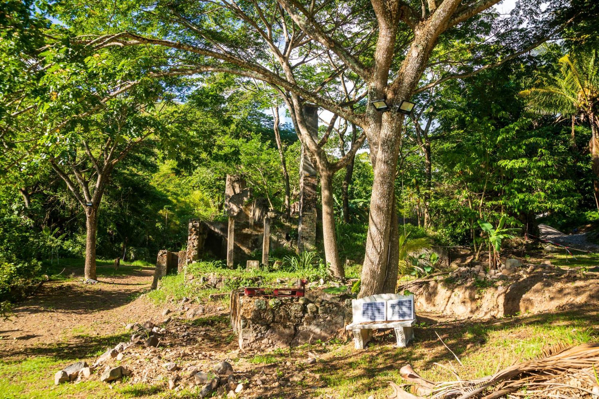 Vila Martinique Treehouse Canton Suisse Exteriér fotografie