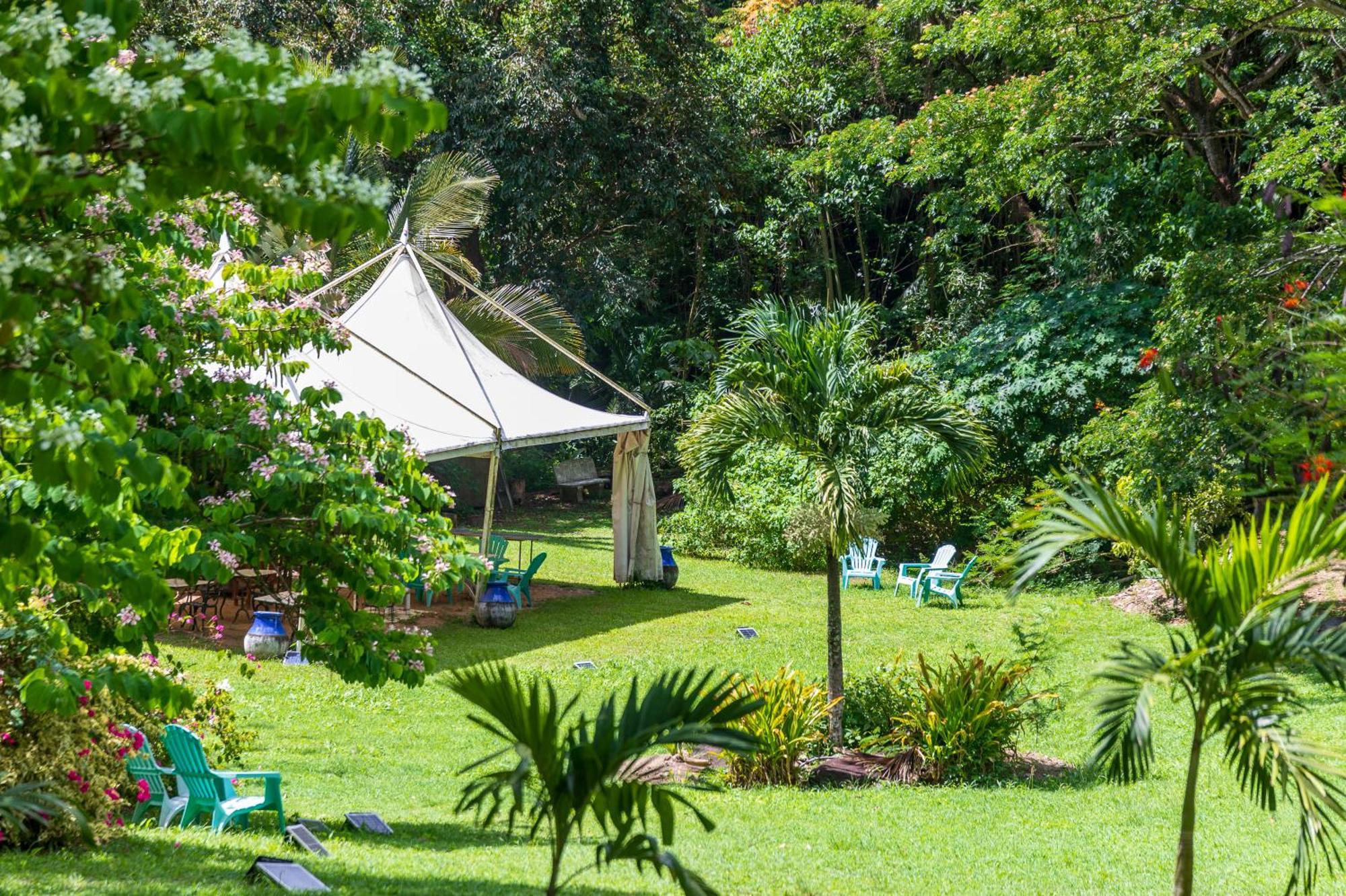 Vila Martinique Treehouse Canton Suisse Exteriér fotografie