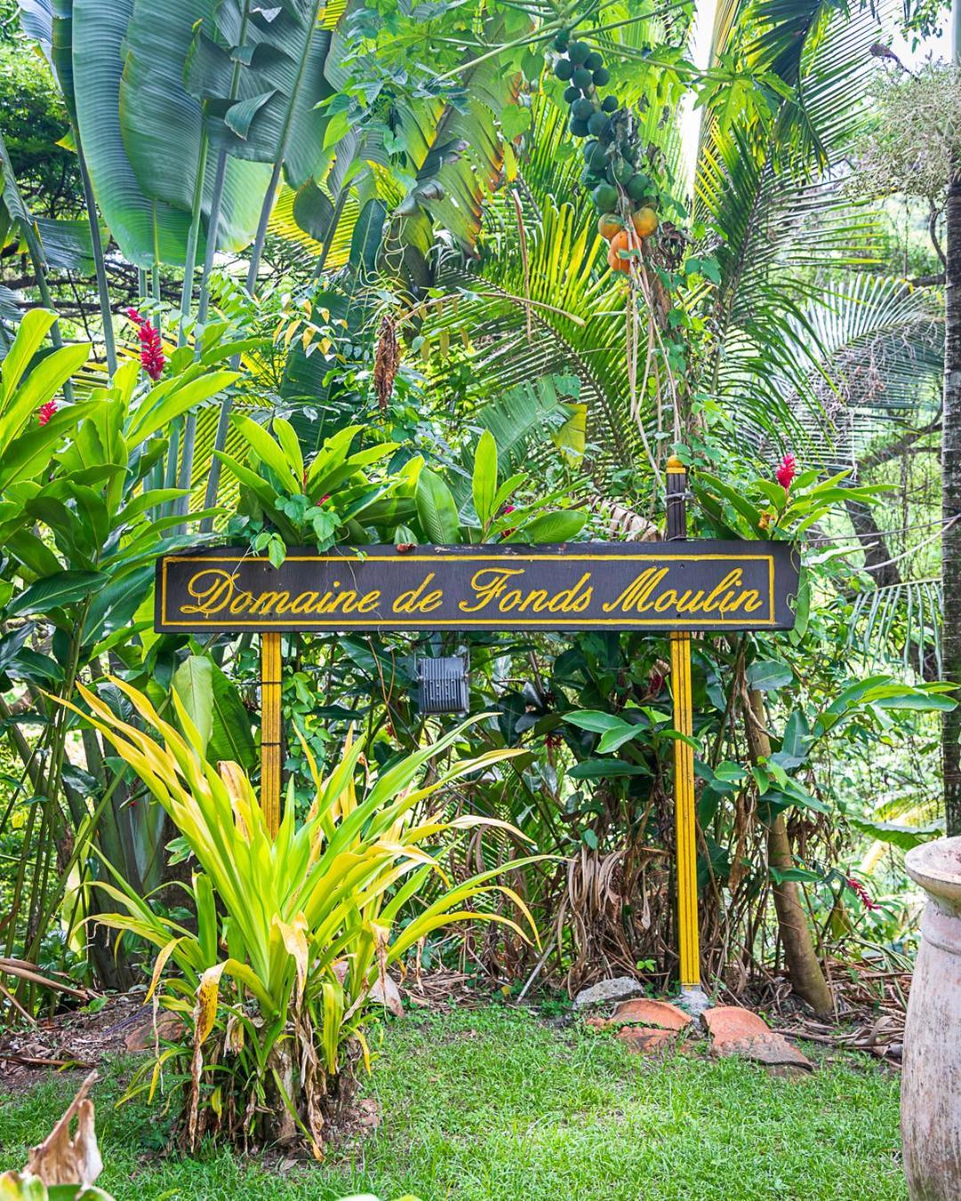 Vila Martinique Treehouse Canton Suisse Exteriér fotografie