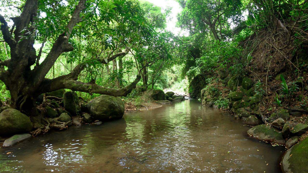 Vila Martinique Treehouse Canton Suisse Exteriér fotografie