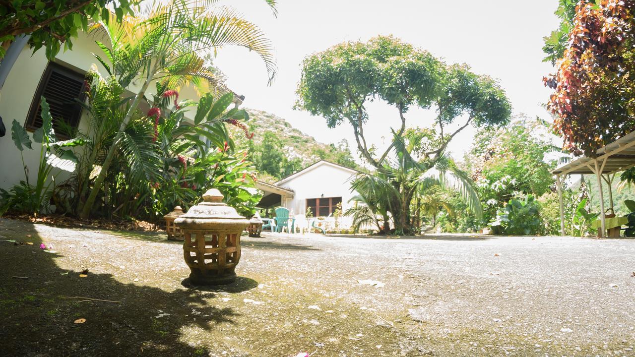 Vila Martinique Treehouse Canton Suisse Exteriér fotografie