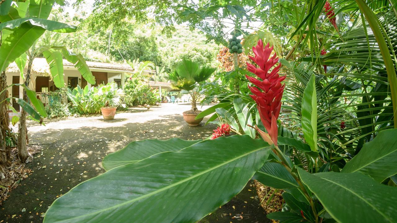 Vila Martinique Treehouse Canton Suisse Exteriér fotografie