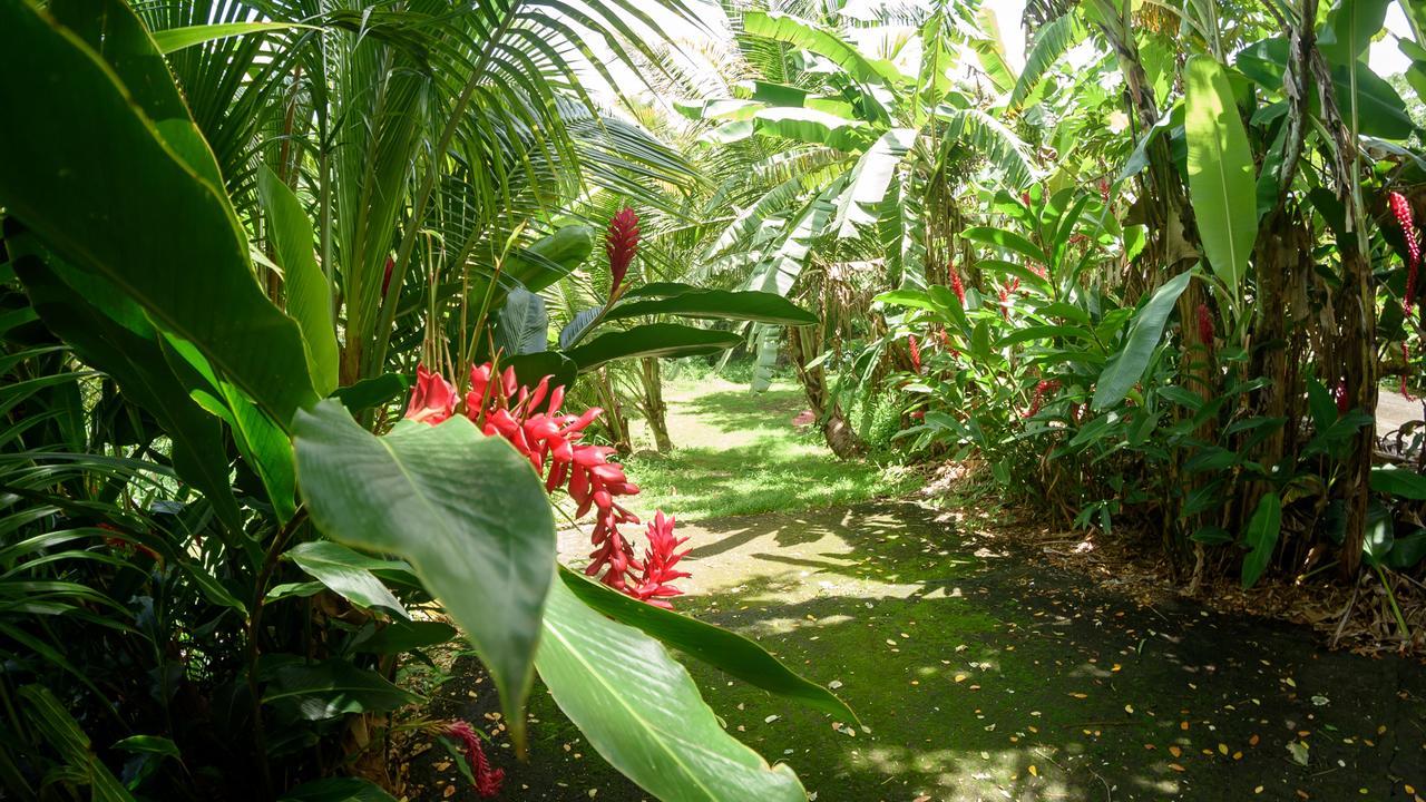 Vila Martinique Treehouse Canton Suisse Exteriér fotografie