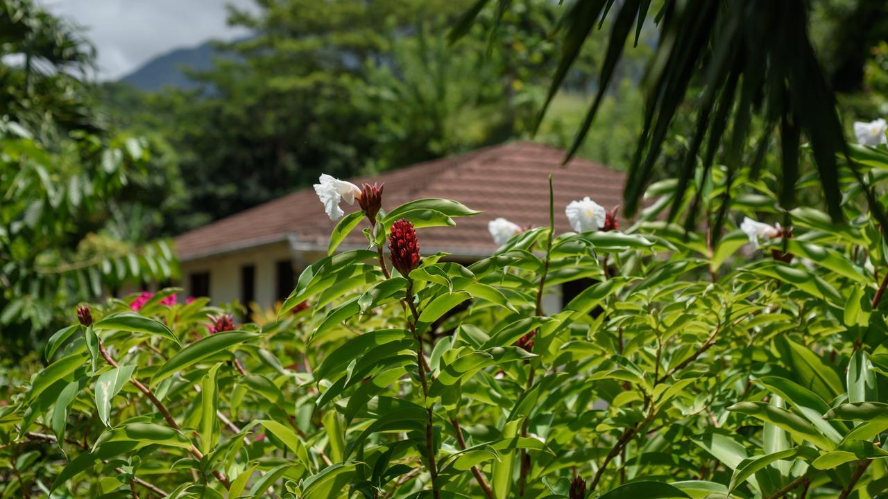 Vila Martinique Treehouse Canton Suisse Exteriér fotografie