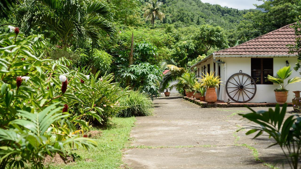 Vila Martinique Treehouse Canton Suisse Exteriér fotografie