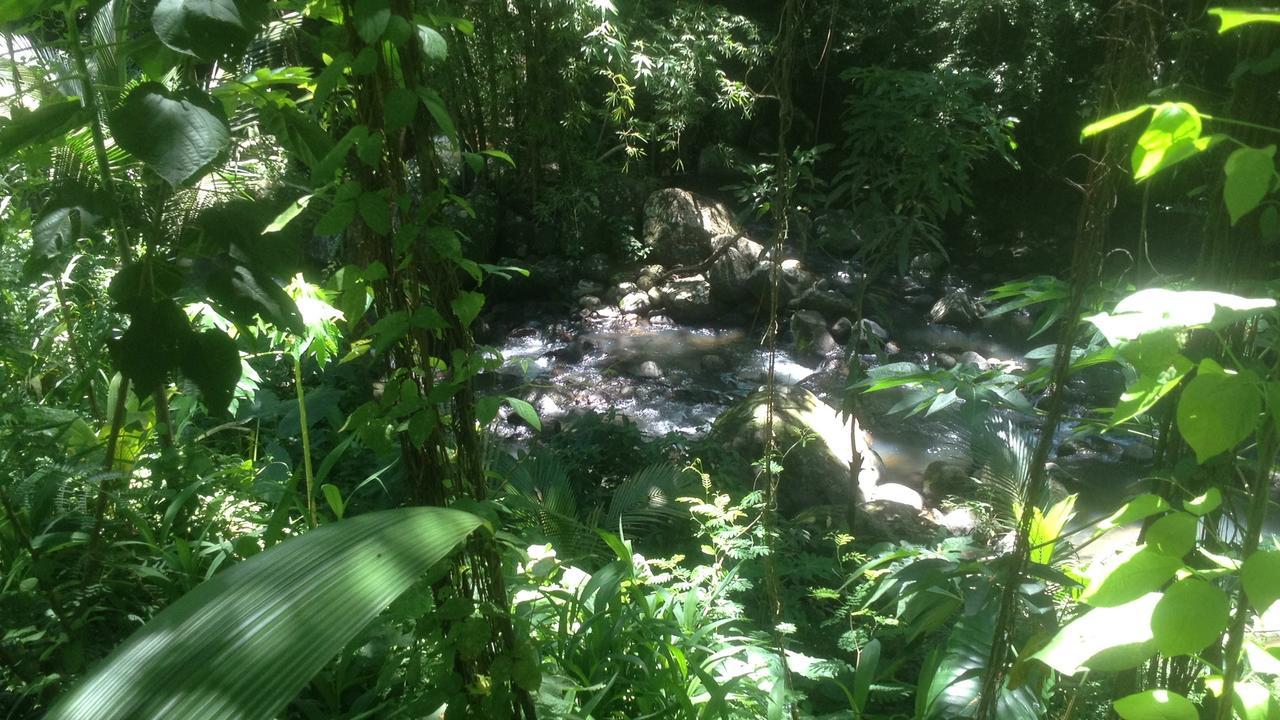 Vila Martinique Treehouse Canton Suisse Exteriér fotografie