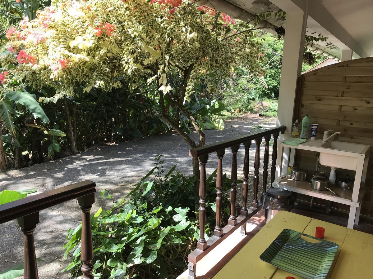 Vila Martinique Treehouse Canton Suisse Exteriér fotografie