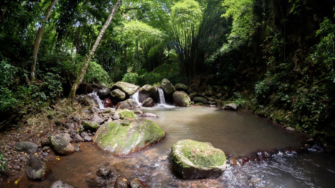 Vila Martinique Treehouse Canton Suisse Exteriér fotografie